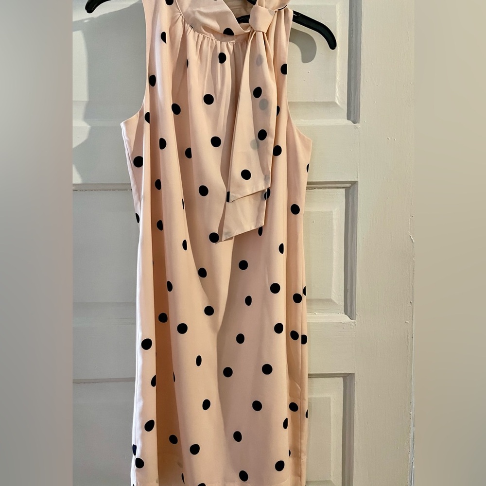 Ann Taylor polka dot shift dress size 6